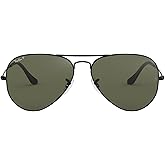 Ray-Ban RB3025 Classic Evolve Photochromic Aviator Sunglasses